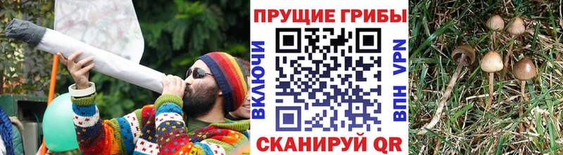 Галлюциногенные грибы мицелий  Ясный 